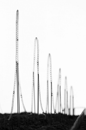 Euthanasia_Coaster_2_bw-683x1024-1